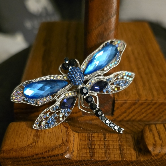 Jewelry - Blue and Silver Dragonfly Brooch